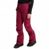 BURTON PANTALONI AK SUMMIT GORE-TEX DONNA Viola
