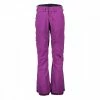 BURTON PANTALONI AK SUMMIT INSULATED GORE-TEX DONNA Viola